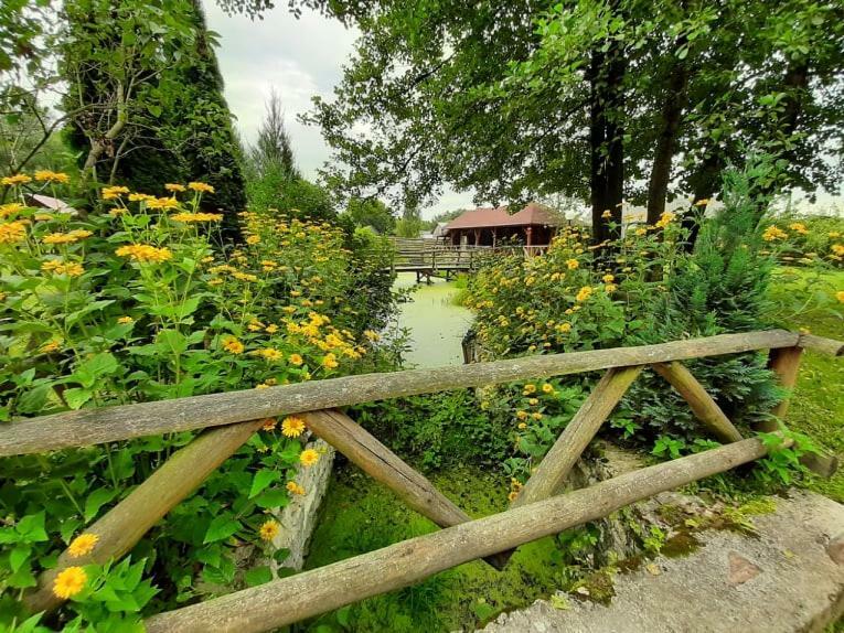 Gospodarstwo Agroturystyczne Pod Lasem Maria Plazio Narol Exterior foto